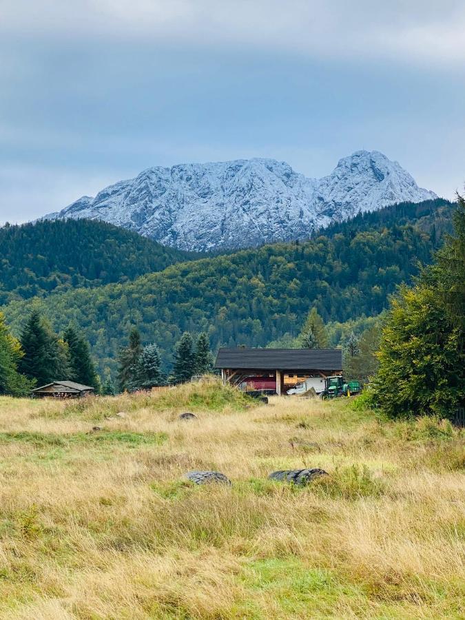 Apartament Mysliwski Zakopane Dış mekan fotoğraf
